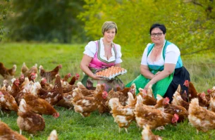 Tina und Katrin kümmern sich liebevoll um ihre Hühner