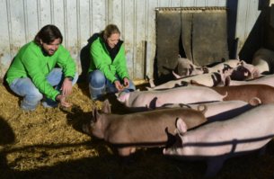 Biohof Sauladen Unger (2) Biohof Sauladen Unger (2)